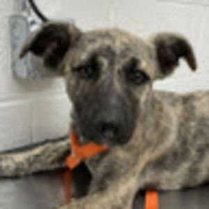 Meet your Posher, Thad